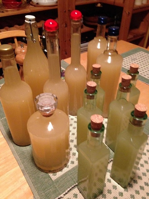 About Travel Eat Cook - Homemade Limoncello