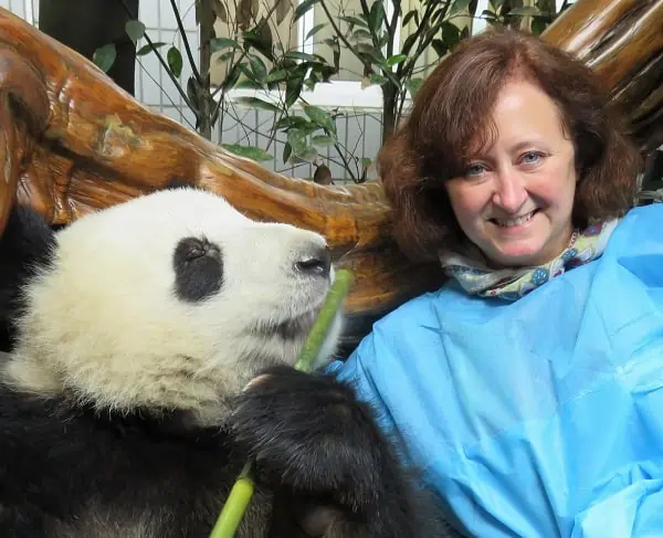 Vickiede with a Panda in China - How to get a chinese tourist visa