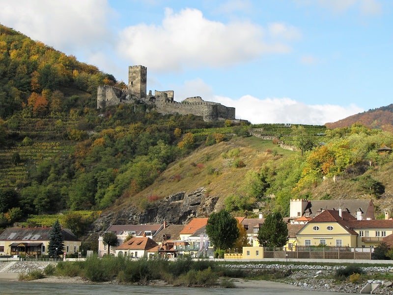 Vineyards & Castle View from the Danube