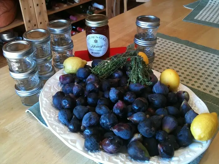 Fig & Lemons Ready to Make Preserves