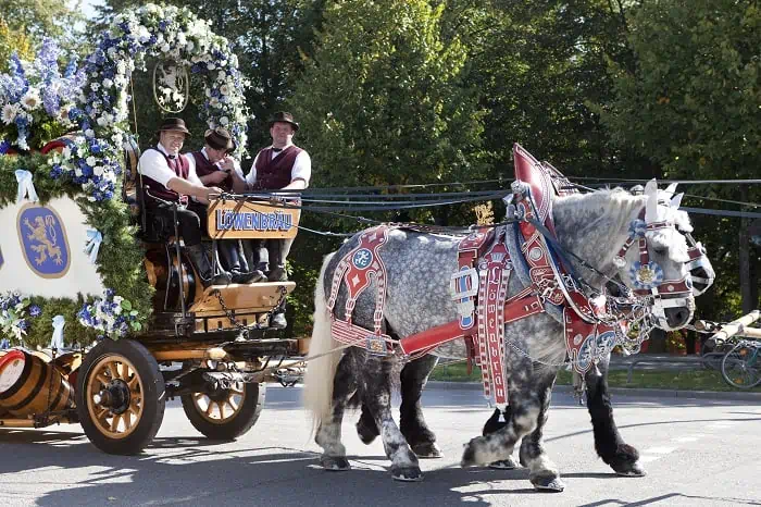 Horse Drawn Carriage in Oktoberfest Parade