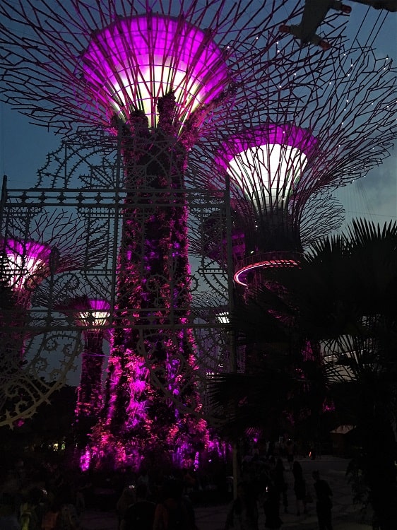 SuperTrees at Singapore's World-Famous Gardens By The Bay