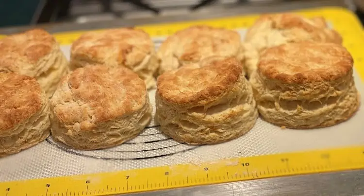 Homemade Buttermilk Biscuits Fresh From the Oven