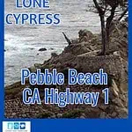 The Lone Cypress Tree In Pebble Beach California
