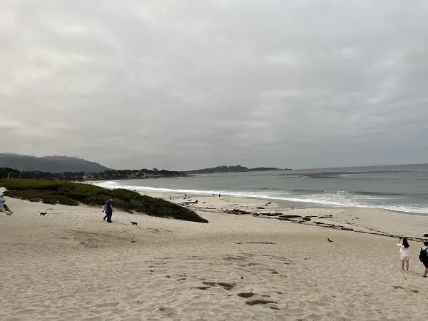 A Photo of Carmel Beach with People and Their Dogs
