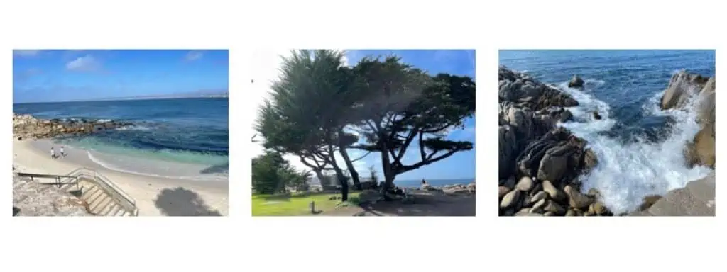 Photos of the beach, Cypress Trees and waves crashing on the rocks at Lover's Point Park & Beach