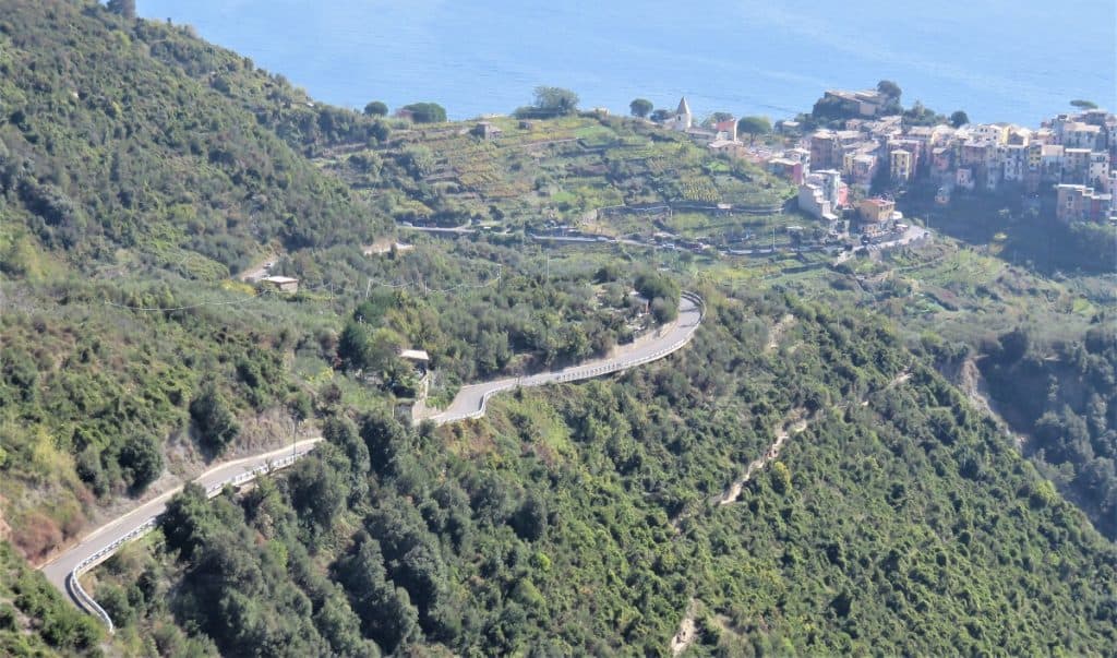 A Photo of the Road Leading Down Into Corniglia