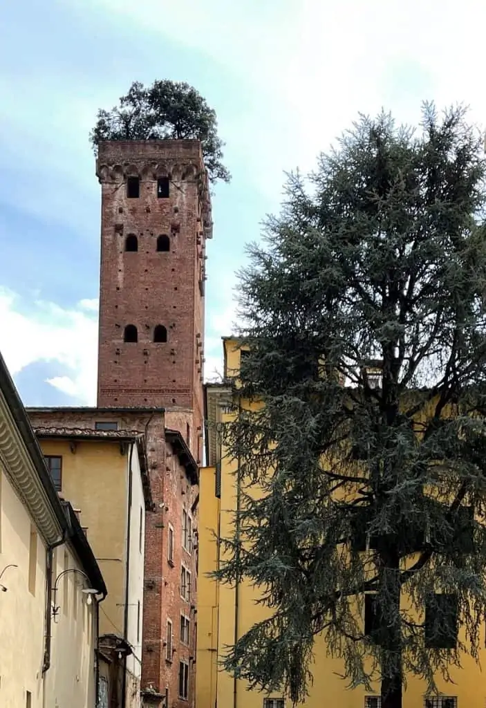Guinigi Tower in Lucca Italy