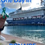 The Celebrity Summit docked at Bonaire with Gumby & Pokey