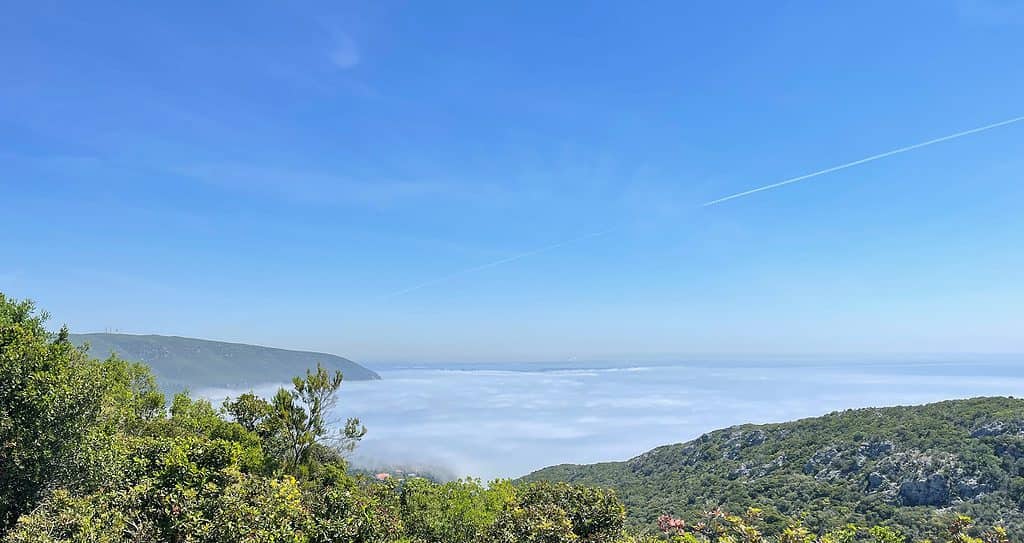 A view of the ocean covered by fog in the Arrabida Nature Park