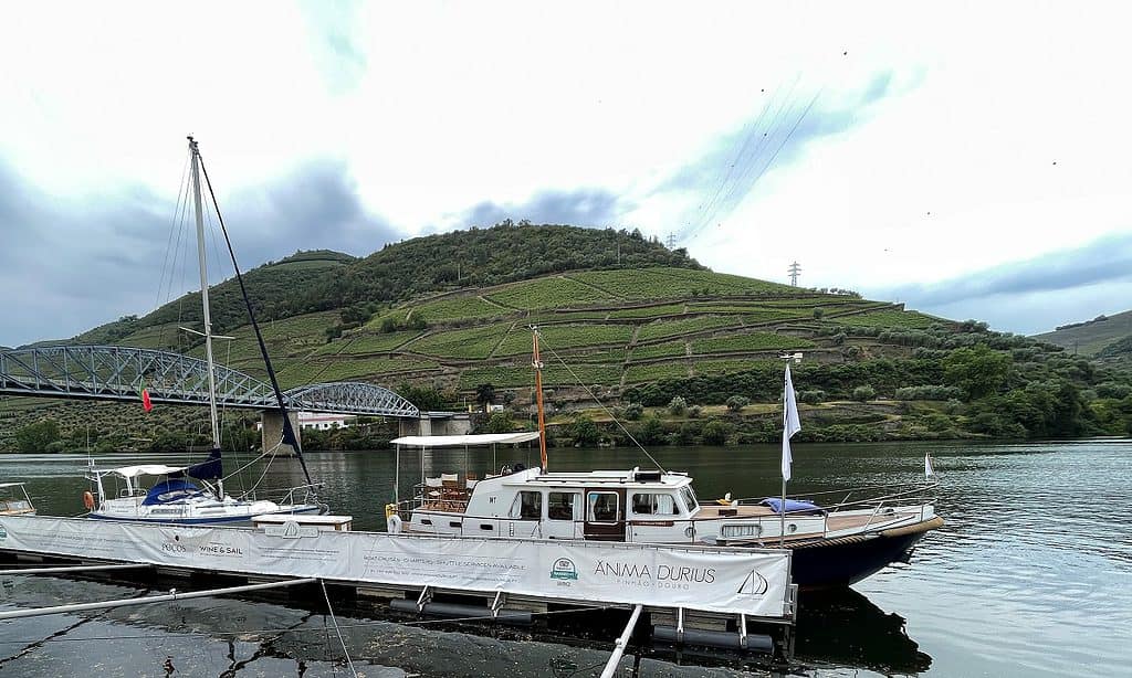 Douro River Cruise Boat at Dock