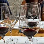 Glasses of Wine at a wine tasting in the Douro Valley, Portugal