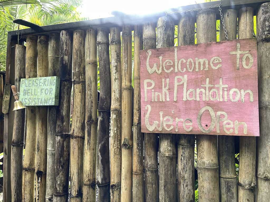Entrance-to-the-Pink-Plantation