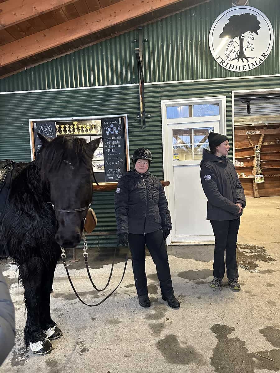 Icelandic Horse and Trainers at Fridheimar
