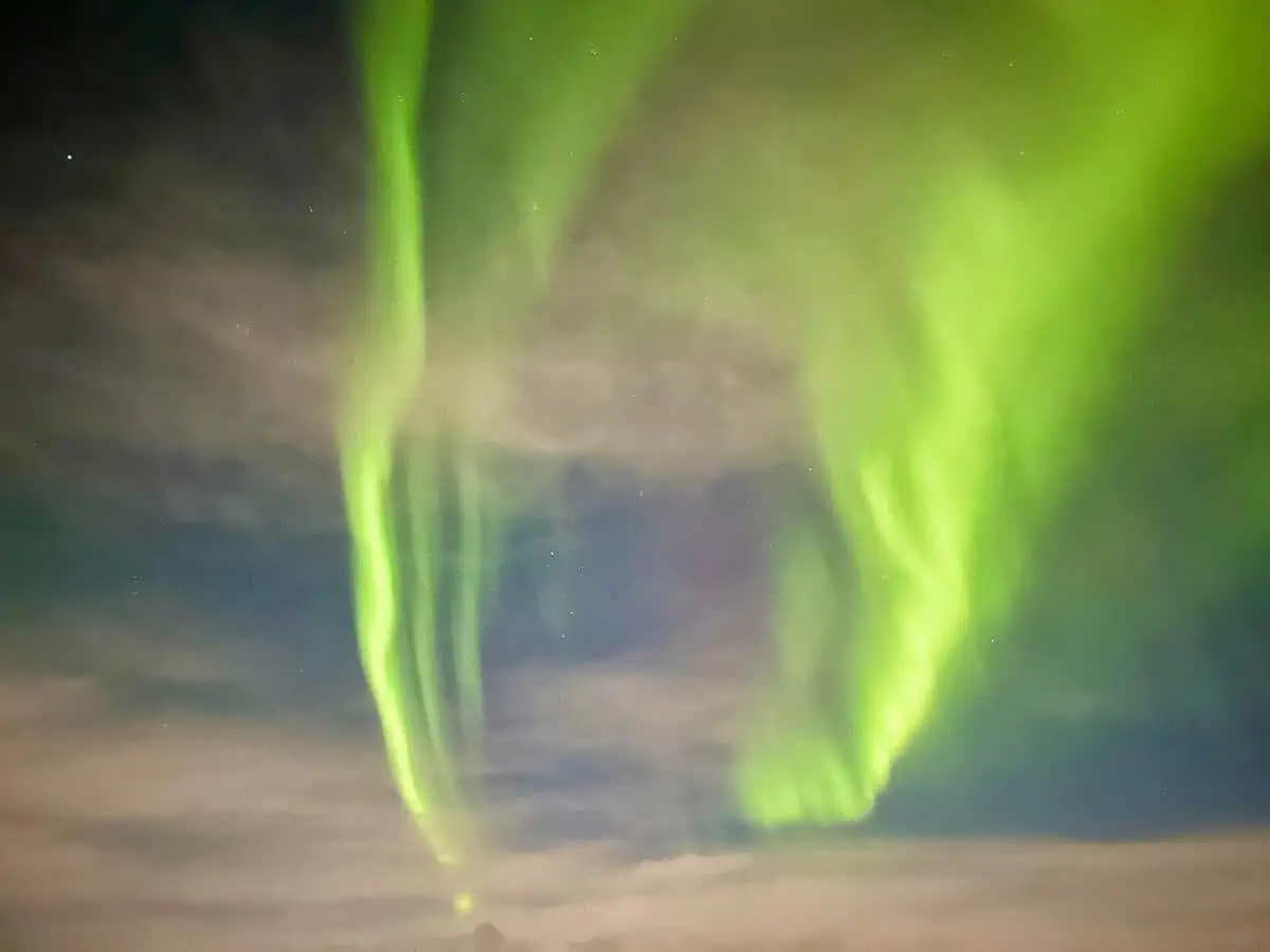 The Northern LIghts - Iceland in January
