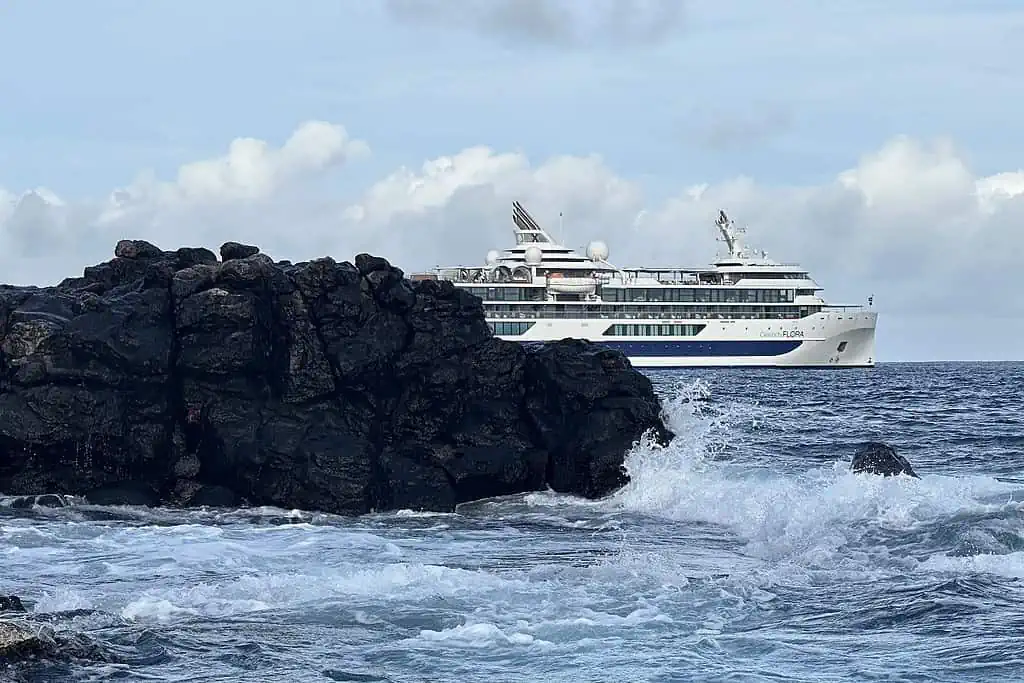 Celebrity Flora in the Galapagos