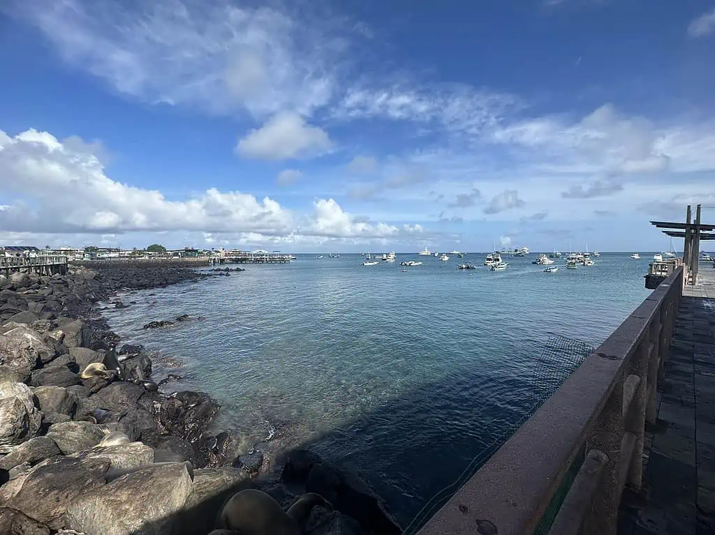 San Cristobal Harbor with Many Expedition and Fishing Boats on the horizon