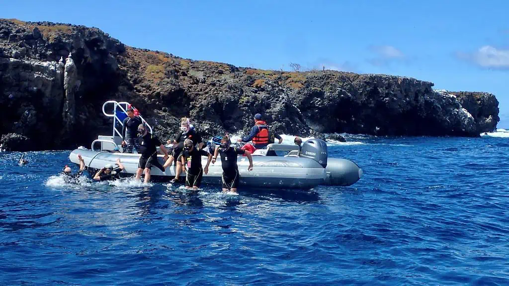 Snorkelers entering the water from their Zodiac