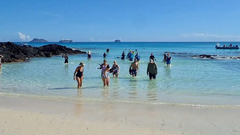 A Group of Snorkelers coming out of the water onto the Beach
