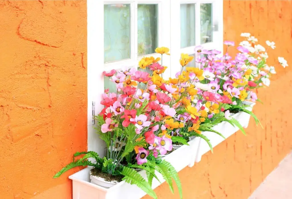 Flower box in window of orange building