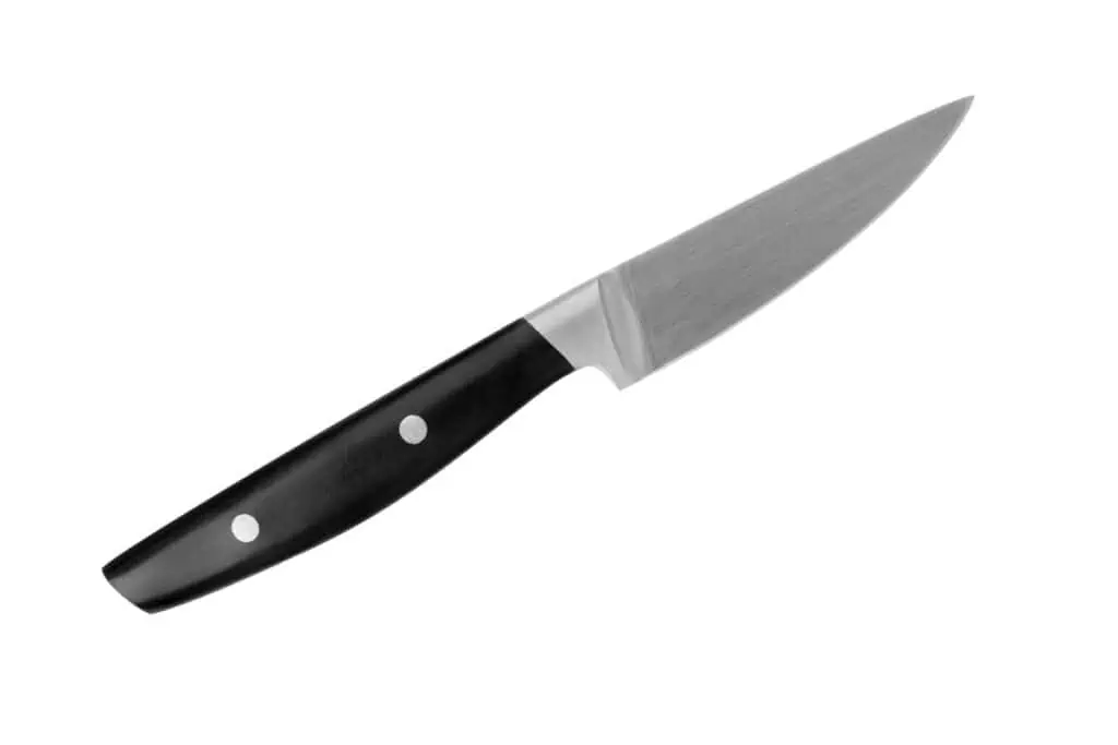 Pairing Knife Stainless Blade and Black Handle
