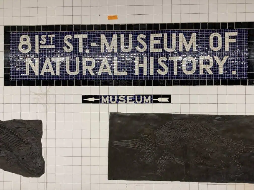 New York City Before A Cruise: Sailing From the Red Hook Cruise Terminal 14 The Subway Sign showing the direction to walk to the Museum Of Natural History
