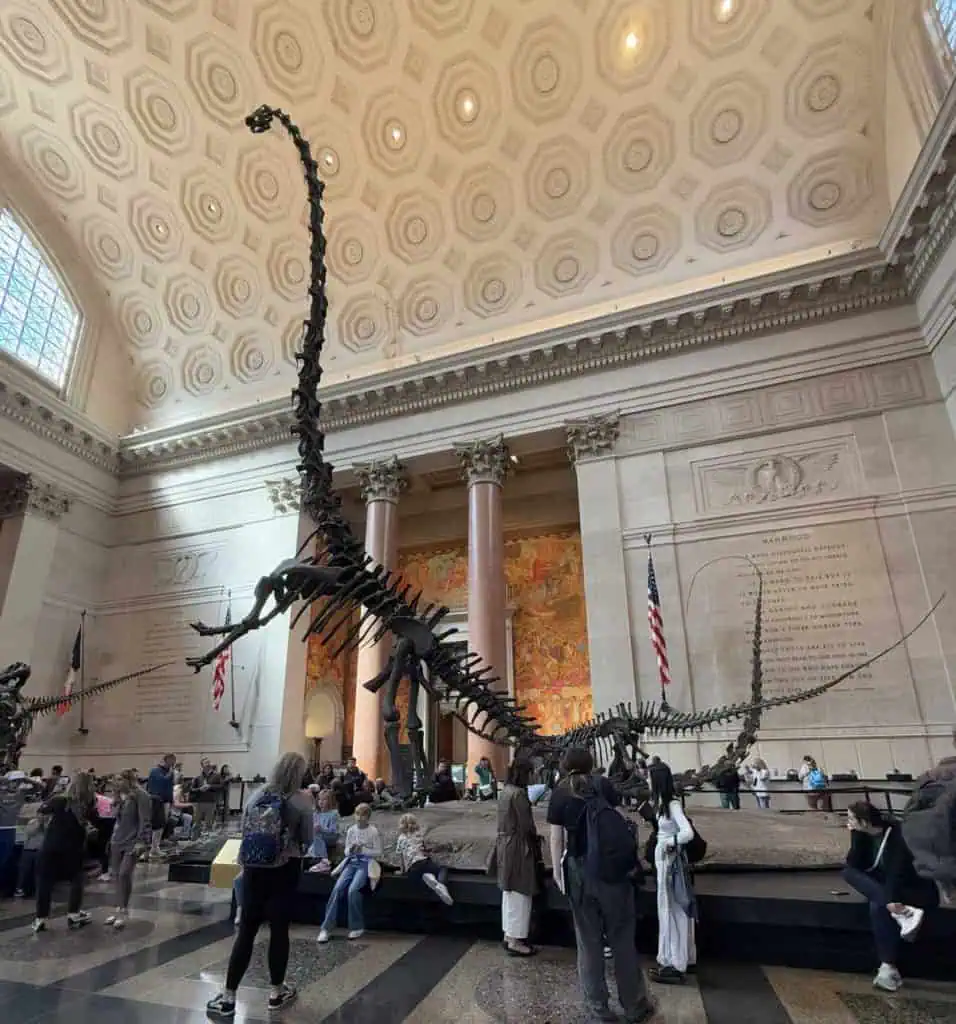 New York City Before A Cruise: Sailing From the Red Hook Cruise Terminal 12 A Brachiasaurus skeleton at the Museum of Natural History in NYC