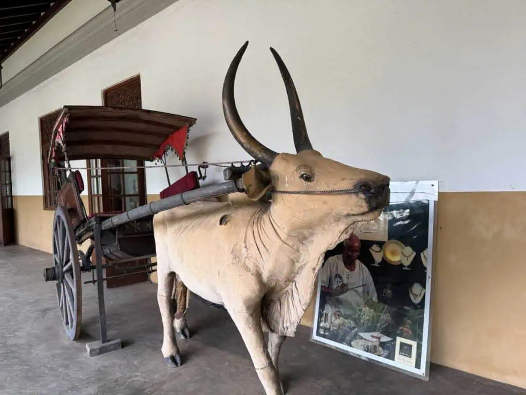 1 Day in Port: Colombo, Sri Lanka – Fishing Villages, sacred Buddhist Temples, Life In And Beyond the Capital 19 Ox pulling a cart, in the background is a photo of an artisan making jewelry