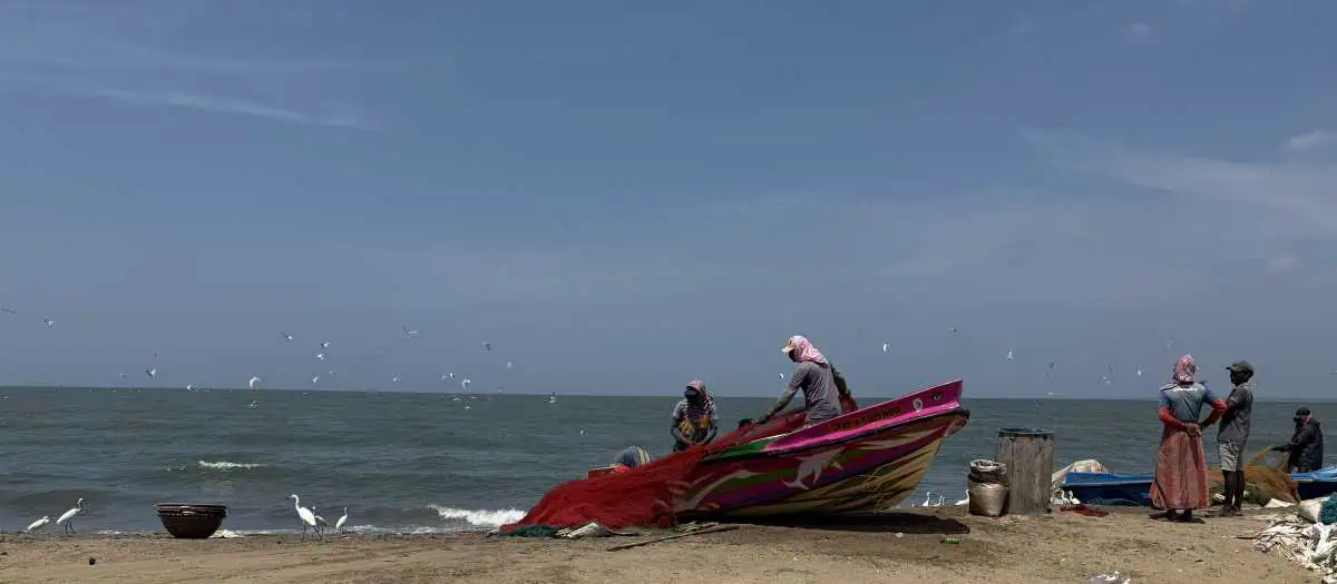 1 Day in Port: Colombo, Sri Lanka – Fishing Villages, sacred Buddhist Temples, Life In And Beyond the Capital 5 A group of fishermen preparing their colorful boat on the shore for a day of fishing at the seaside, with seagulls nearby and a calm ocean in the background.