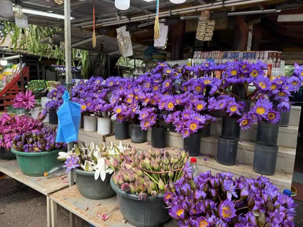 1 Day in Port: Colombo, Sri Lanka – Fishing Villages, sacred Buddhist Temples, Life In And Beyond the Capital 25 Flowers at the Temple for offerings