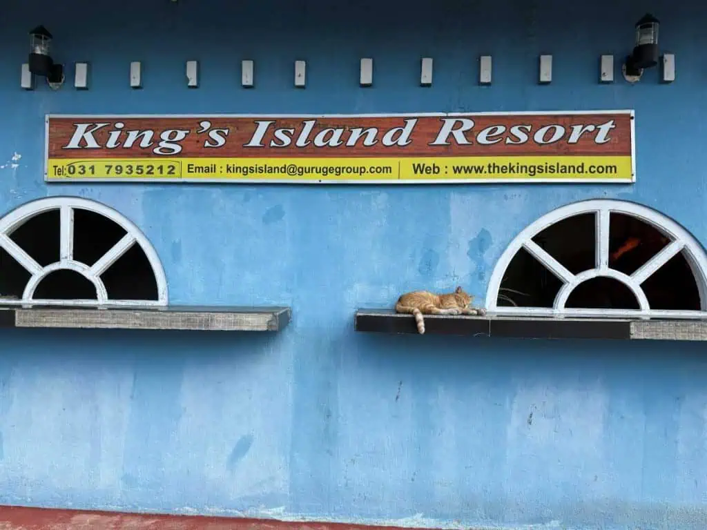 1 Day in Port: Colombo, Sri Lanka – Fishing Villages, sacred Buddhist Temples, Life In And Beyond the Capital 8 The Harbor Side Kings Island Resort Entrance with an orange cat sleeping by the ticket booth.