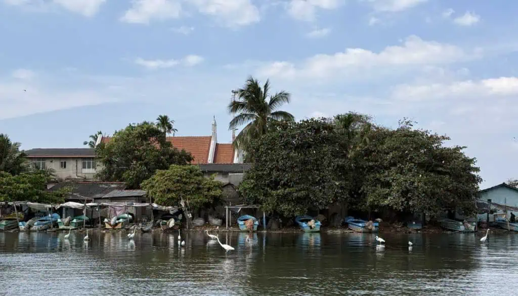 1 Day in Port: Colombo, Sri Lanka – Fishing Villages, sacred Buddhist Temples, Life In And Beyond the Capital 9 Negombo Lagoon A serene tropical riverside with boats docked along the shore, lush trees, and a clear blue sky, showcasing a peaceful coastal or riverfront environment ideal for travel and exploration.