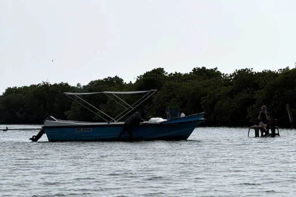1 Day in Port: Colombo, Sri Lanka – Fishing Villages, sacred Buddhist Temples, Life In And Beyond the Capital 11 Boat on Sandbar, with table and chairs set up and a woman enjoying a snack in the Negombo Lagoon